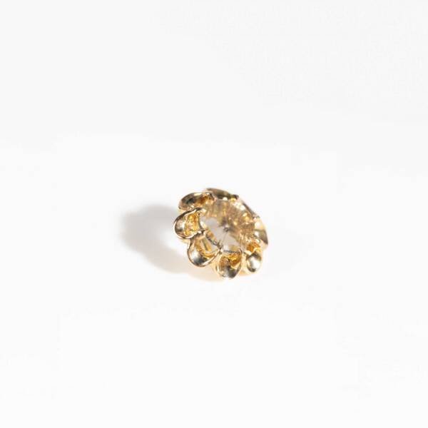 Fossilised - Image 2